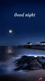 1616258987620.webp