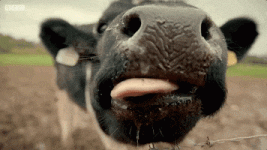 200.gif