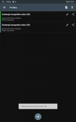 Screenshot_20210321_222710_com.github.shadowsocks.webp