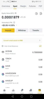 Screenshot_20210323_191316_com.binance.dev.webp