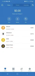 Screenshot_20210323-230807_Trust Wallet.webp