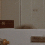 200.gif 200.gif