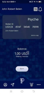 usd1.webp