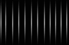 Profile.webp