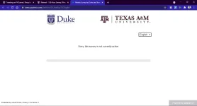 Screenshot_13.webp