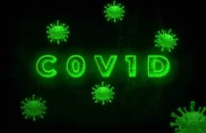 XCVXCVXCVXCV.webp