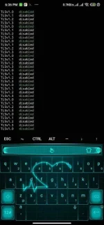 Screenshot_2021-03-25-18-36-09-226_com.termux.webp