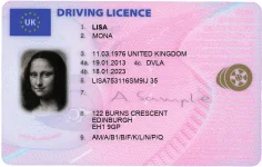 festisite_drivers-license_uk.png