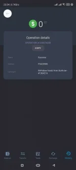 Screenshot_2021-03-25-23-34-40-108_com.payeer.webp