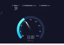 sp2.webp