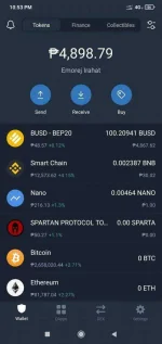 Screenshot_2021-03-27-22-53-47-476_com.wallet.crypto.trustapp.webp