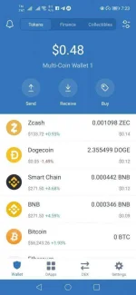 Screenshot_20210328_192302_com.wallet.crypto.trustapp.webp