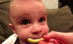 1485178441_sour-lemon-face.gif