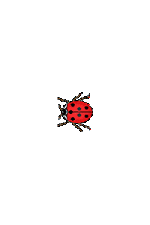 3zMw (1).gif