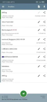 Screenshot_2021-03-30-08-37-28-505_com.github.shadowsocks.webp