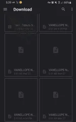 Screenshot_20210330-173956_Files.webp
