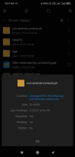 Screenshot_2021-03-31-11-47-41-224_com.mi.android.globalFileexplorer.webp