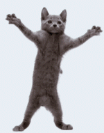 tenor (1).gif tenor (1).gif