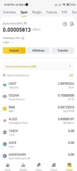 Screenshot_2021-03-31-22-46-49-427_com.binance.dev.webp Screenshot_2021-03-31-22-46-49-427_com.binance.dev.webp