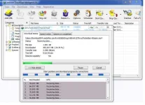 free2.webp