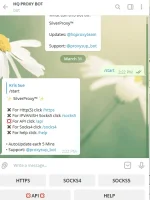 Capture2.webp
