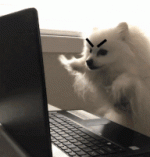 200.gif