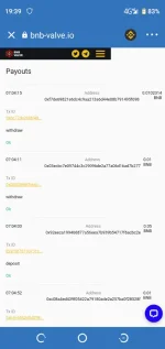 Screenshot_20210401-193905.webp