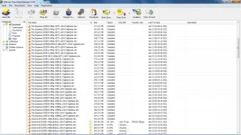 fgf.webp
