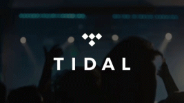 tidal.gif