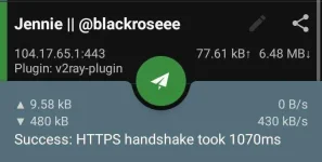 Screenshot_2021-04-03-11-59-27-49.webp