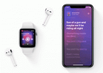 applemusic.gif