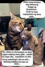 Kawawa naman sina Mingming.jpg