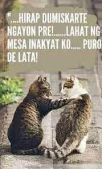 Di na makadiskarte si mingming.webp