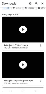 Screenshot_2021-04-06-09-00-19-91.webp