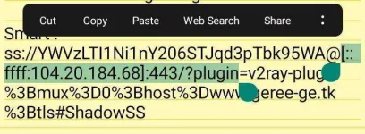 Screenshot_2021-04-06-11-27-58-36.jpg