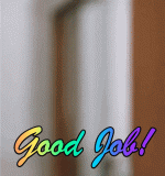 goodjob.gif