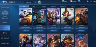 Screenshot_20210408-191719_Mobile Legends Bang Bang.webp
