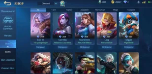 Screenshot_20210408-191822_Mobile Legends Bang Bang.webp