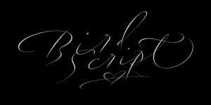 bds1.webp bds1.webp
