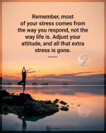 FB_IMG_1618136496909.webp