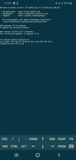 Screenshot_20210412-234713_JuiceSSH.webp