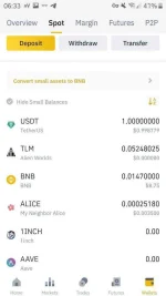 Screenshot_20210413-063325_Binance.webp