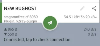 Screenshot_20210413-121100_Shadowsocks.webp