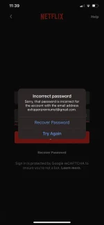 CFC8FEE9-E95D-4EDB-B618-5167D119BD78.webp