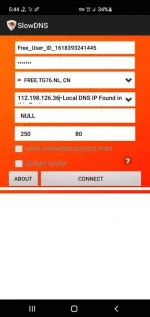 Screenshot_20210414-174415_SlowDNS.webp