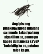 1618475776658.webp