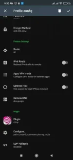 Screenshot_2021-04-16-09-30-28-382_com.github.shadowsocks.webp