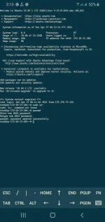Screenshot_20210417-141314_JuiceSSH.webp