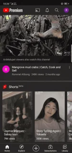 Screenshot_2021-04-18-10-26-31-53.webp