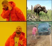 kalabaw2.webp